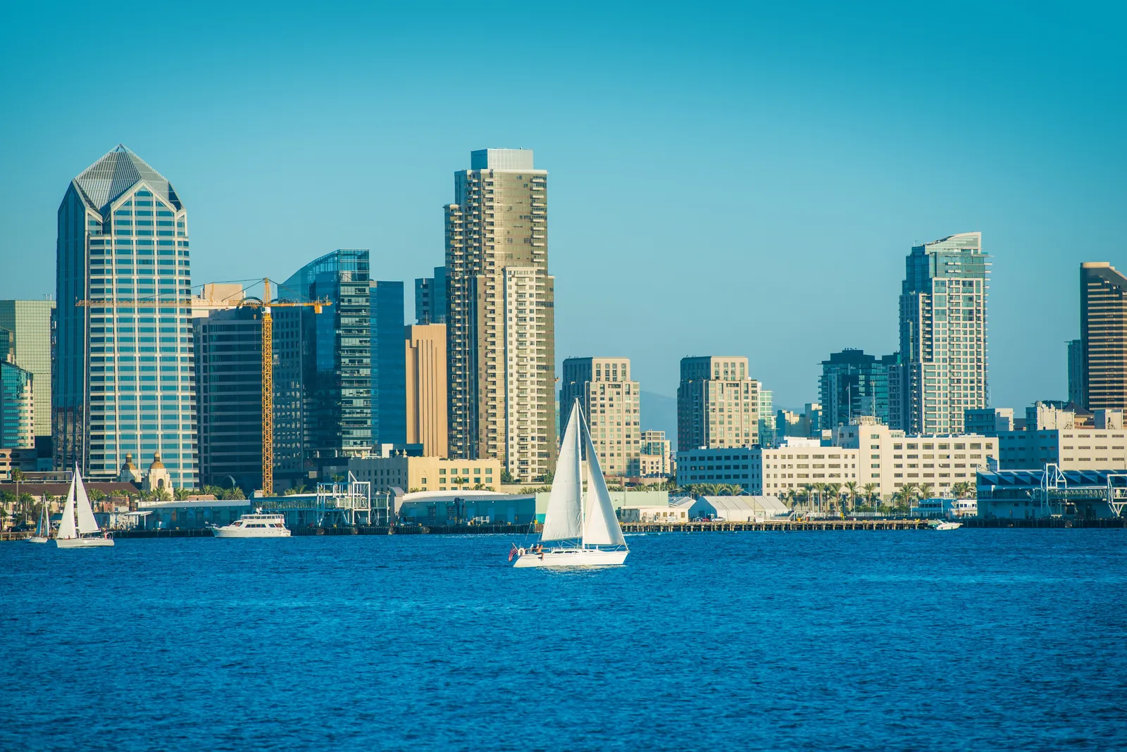 Sailboats on blue water with a modern city skyline and clear sky in the background during daytime.